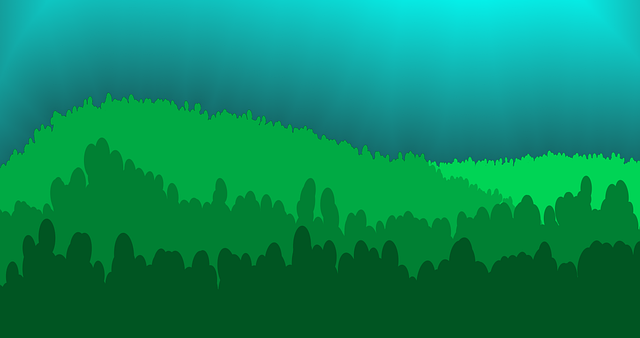 werder brem