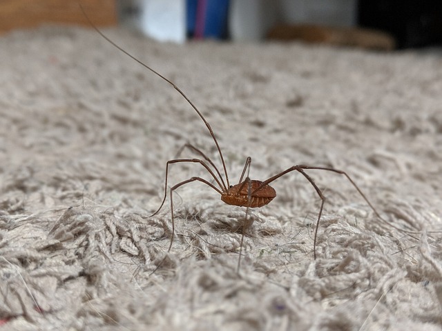 曼聯 賽程