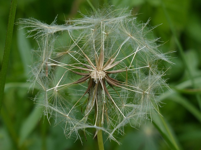 室外 籃球 鞋 推薦
