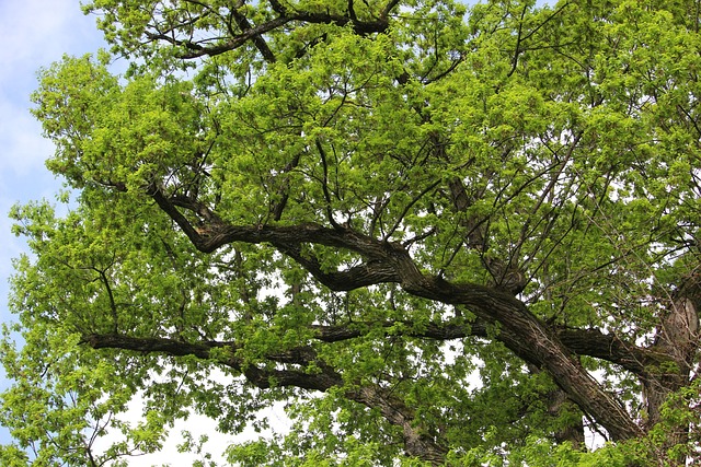 英超 预测