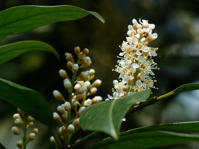 Foto do arquivo: fornecida por 【club 中文】